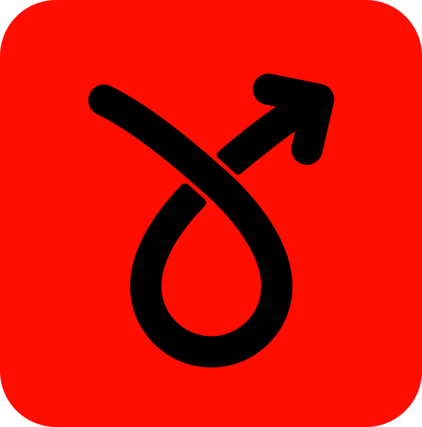 VN11 Icon