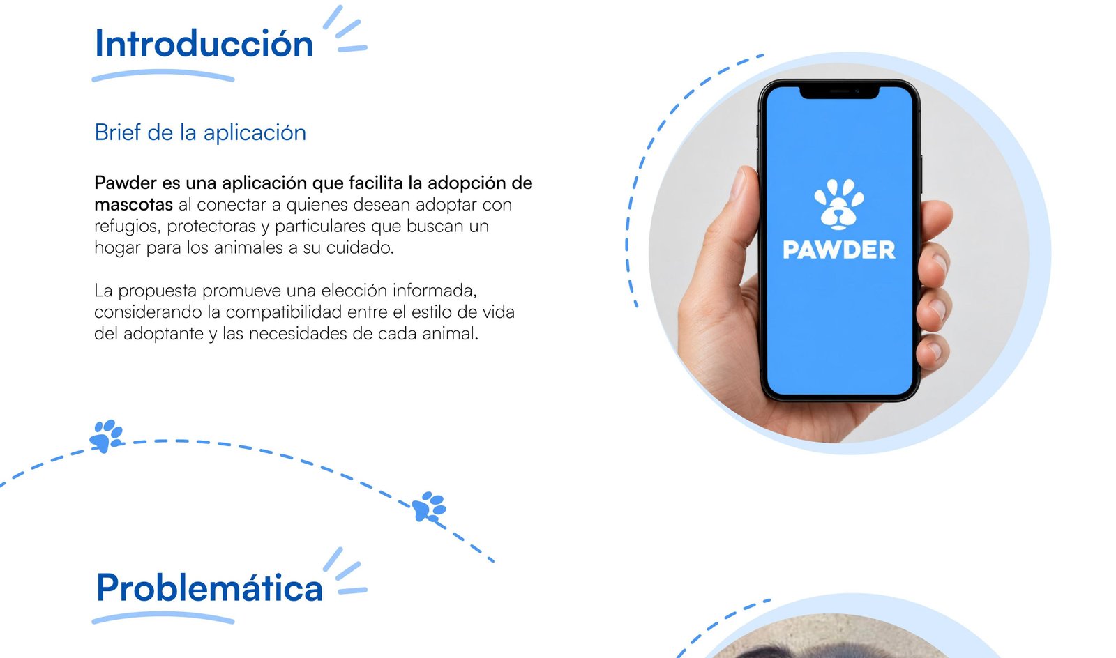 Brief Pawder — Problemática