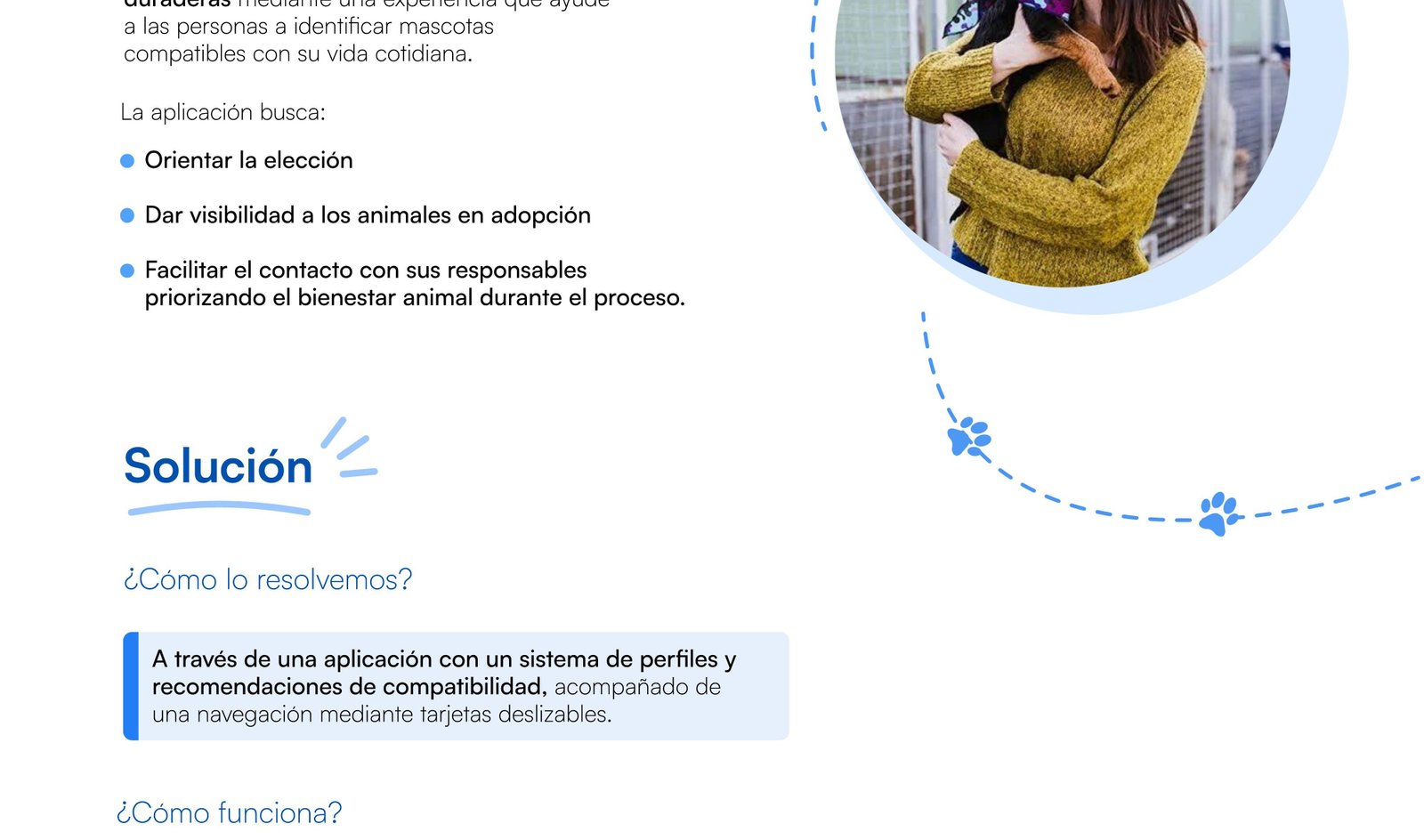 Brief Pawder — Solución